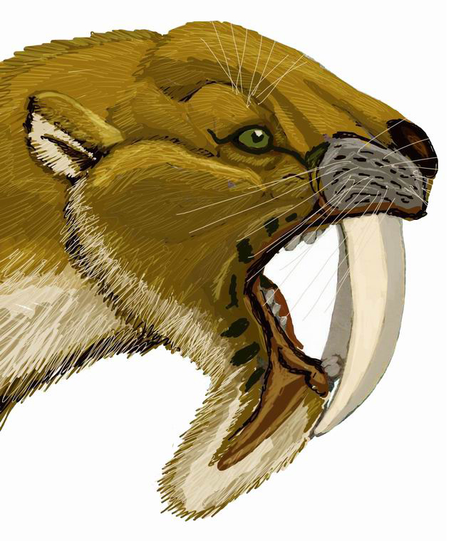 marsupial sabertooth